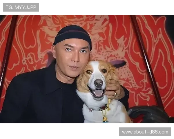 尊龙就是博旧版现金在移动设备上的适配与优化研究