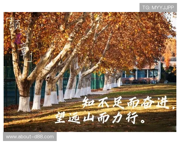 尊龙时凯人生就是搏官网登录：从挫折中崛起的励志故事激励你不断前行