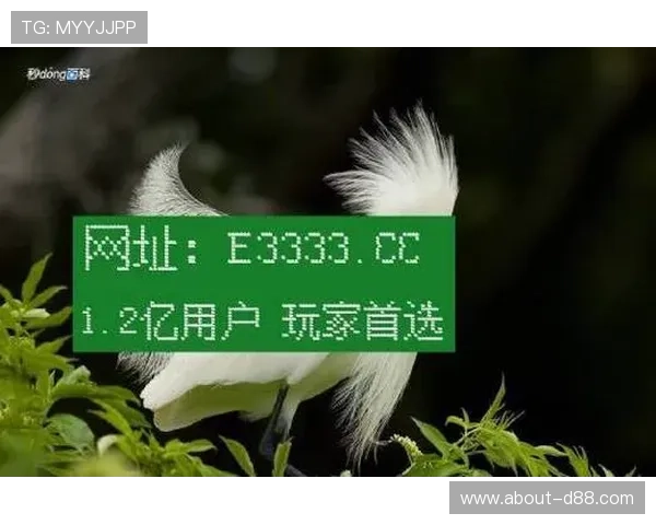 凯时官网网址官方入口地址,快速便捷的登录体验指南 凯时官网网址官方入口地址,快速便捷的登录体验指南